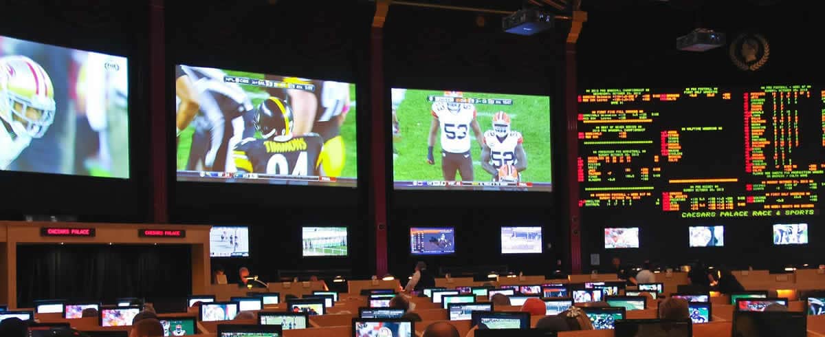 new mexio sportsbetting