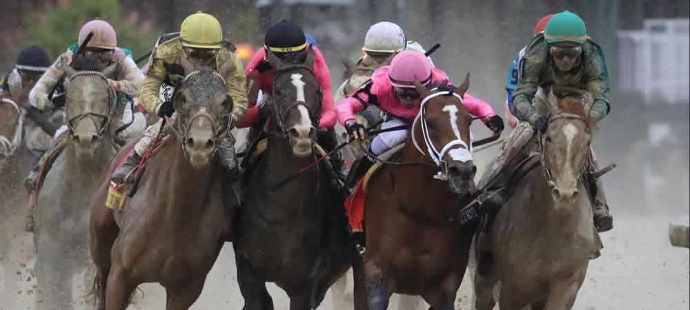 Tiz The Law Favorite For Kentucky Derby After Belmont Success