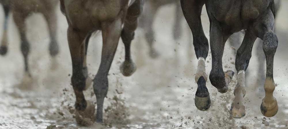 Why Weather Matters For The 151st Running Of The Belmont Stakes