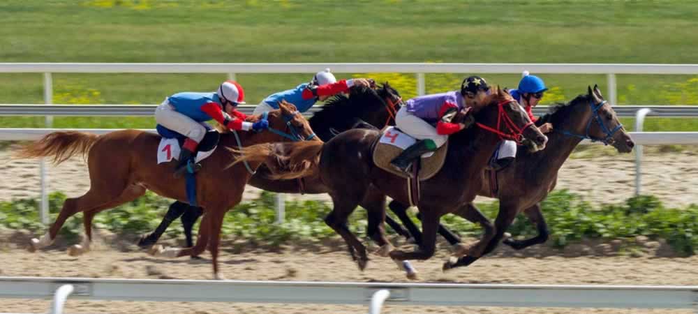 Thanks To Sports Betting, New Jersey Horse Racing Is Looking Up