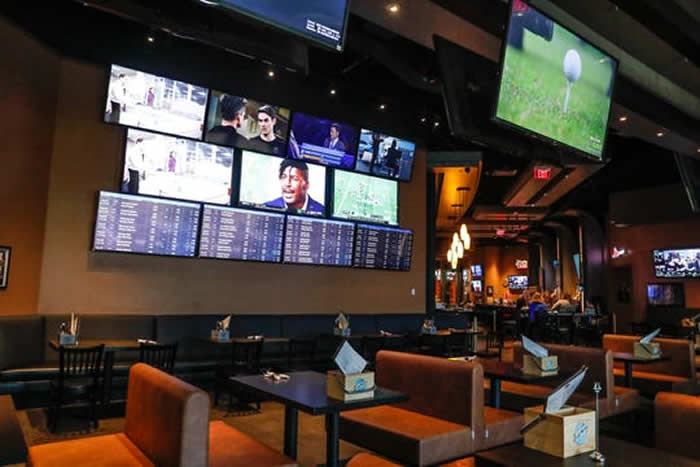 hollywood casino sports book