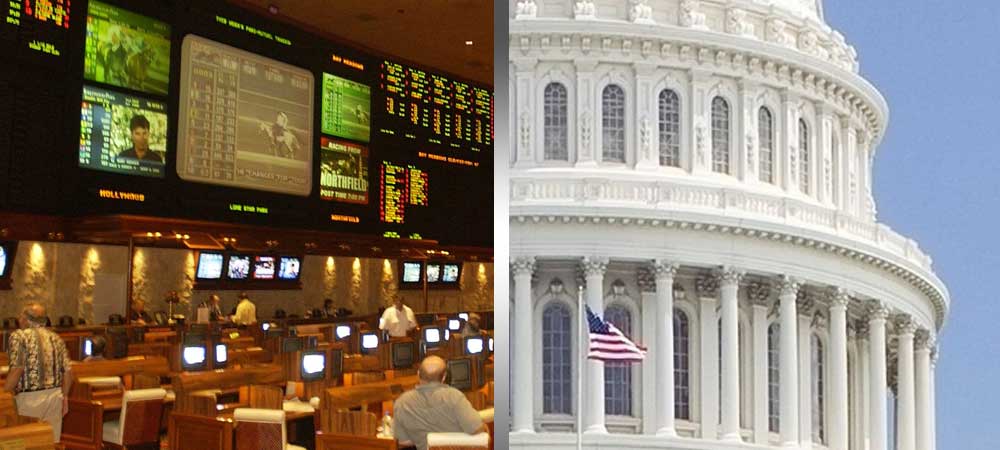 Two More Locations In D.C. Apply For Sports Betting License