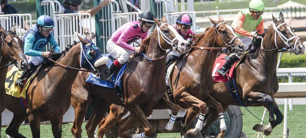 Horse Race Betting, Still Going Strong Despite COVID-19