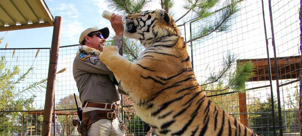 What Are The Odds Joe Exotic Receives Presidential Pardon?