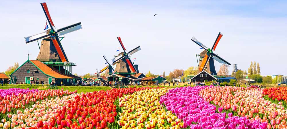 Online Sports Betting In Netherlands Delayed For Amendments
