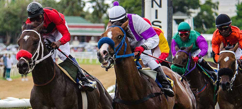 Puerto Rican Horse Betting Sees Nearly One Million Bets In Return