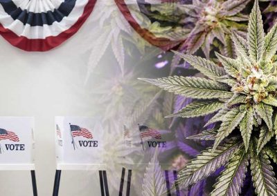 What Are The Odds For States Voting On Recreational Marijuana?