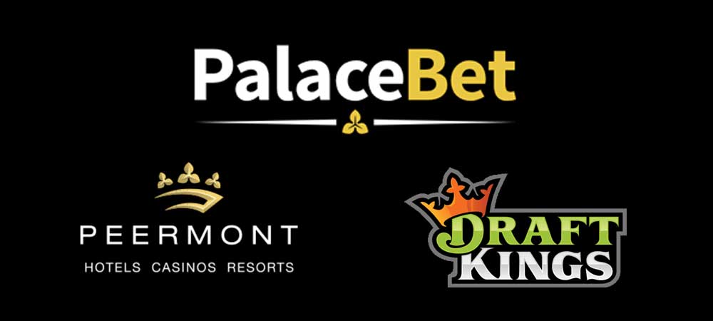 DraftKings Enters Market With South African Sportsbook PalaceBet