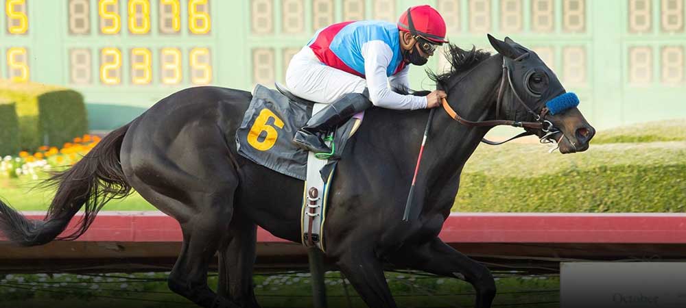 Medina Spirit Fails Drug Test, Won’t Compete In Belmont Stakes