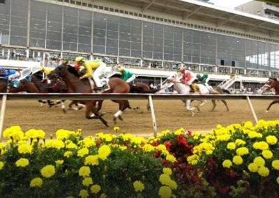 Recent Dominance Makes Epicenter The Favorite At Preakness