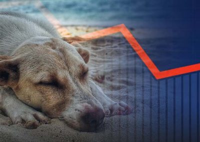 Sports Betting Reports Show Why June Is The Dog Days Of Summer