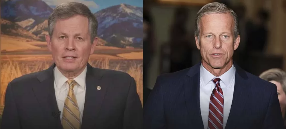Why You Should Bet Steve Daines Over John Thune To Replace McConnell