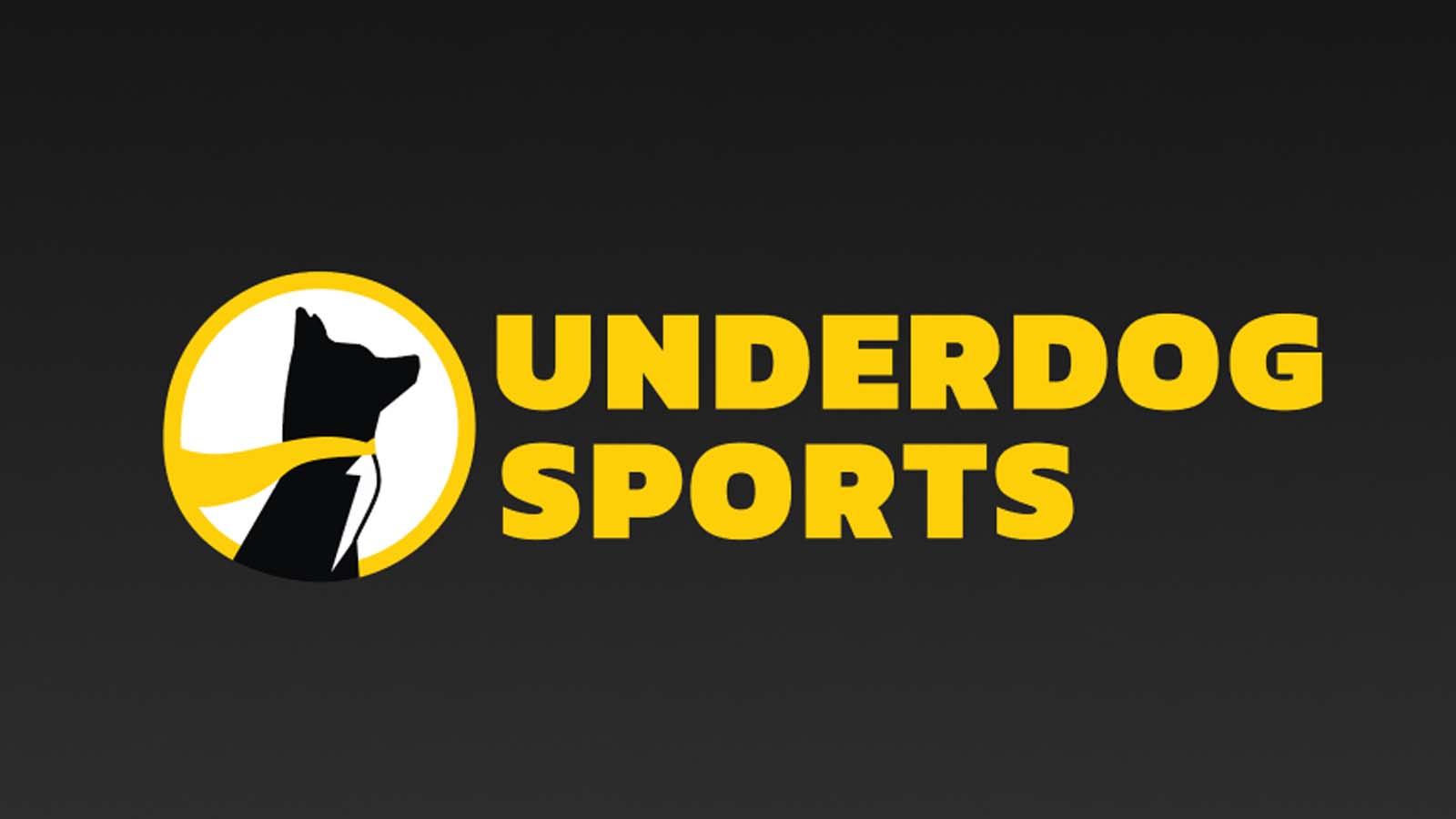 How Underdog’s $1.3B Sale Impacts the Industry 1 How Underdog’s $1.3B Sale Impacts the Industry